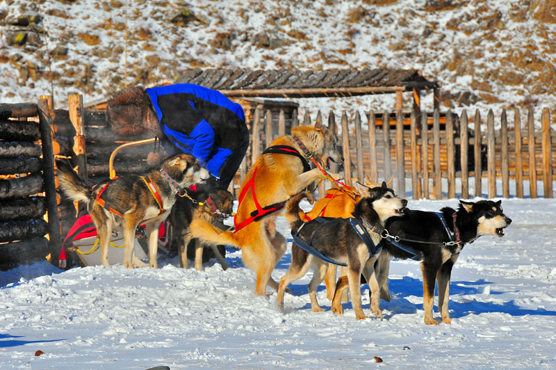 Mongolie